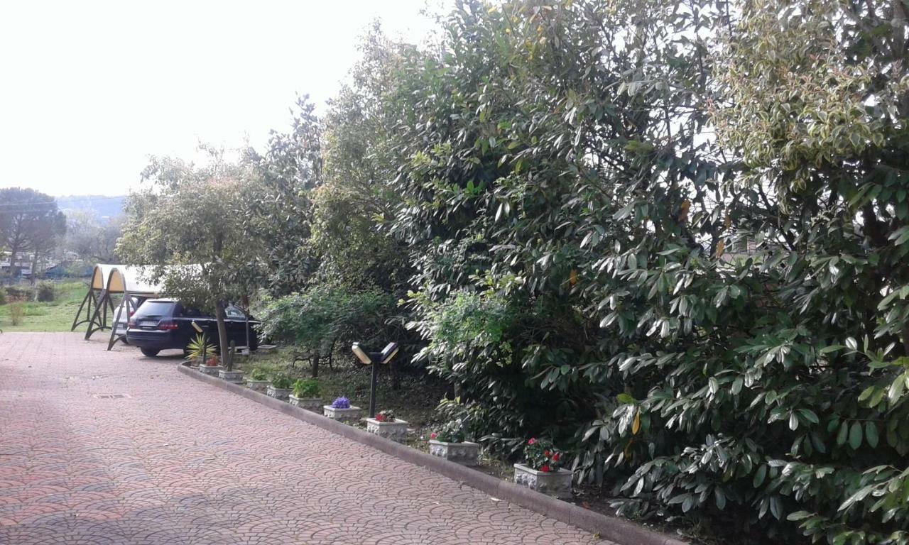 Bed and Breakfast Le Palme К'єті Екстер'єр фото